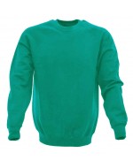 Kids Raglan Sweatshirt